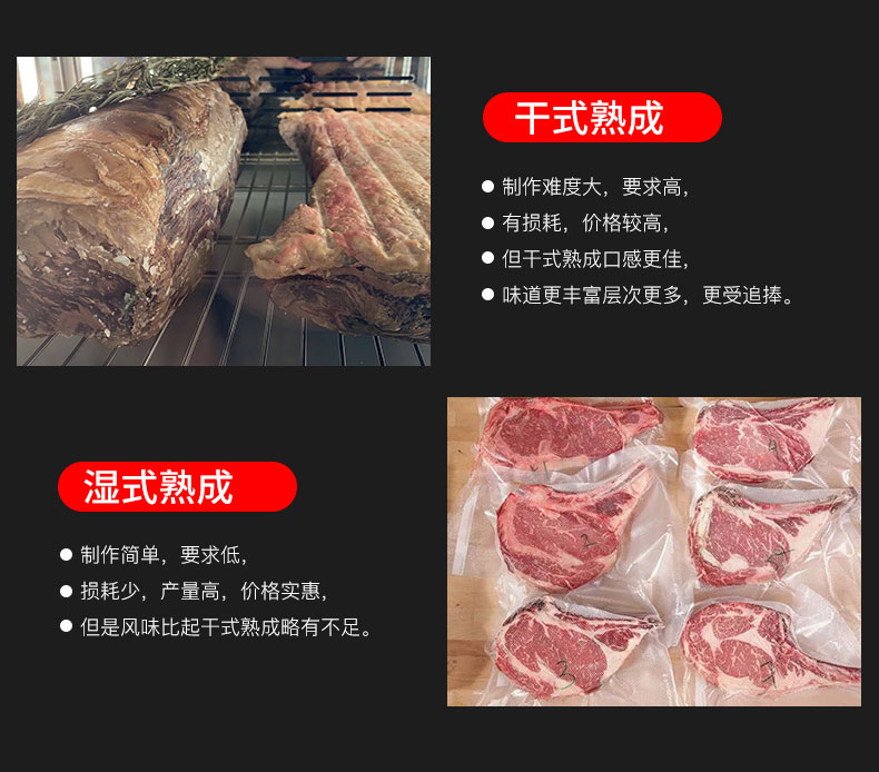 干式湿式牛肉熟成柜(图6)