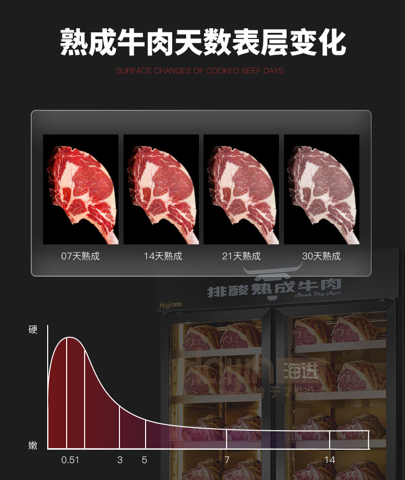 干式湿式牛肉熟成柜(图7)